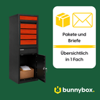 Pakete und Briefe übersichtlich in einem Fach der BunnyBox Style mit Teak